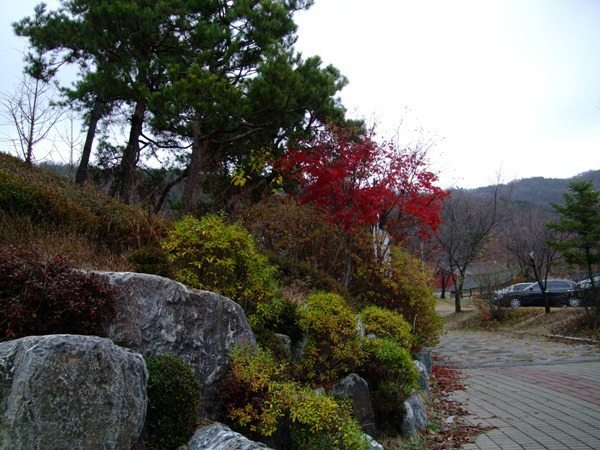 불곡산 가을을 보내며.jpg